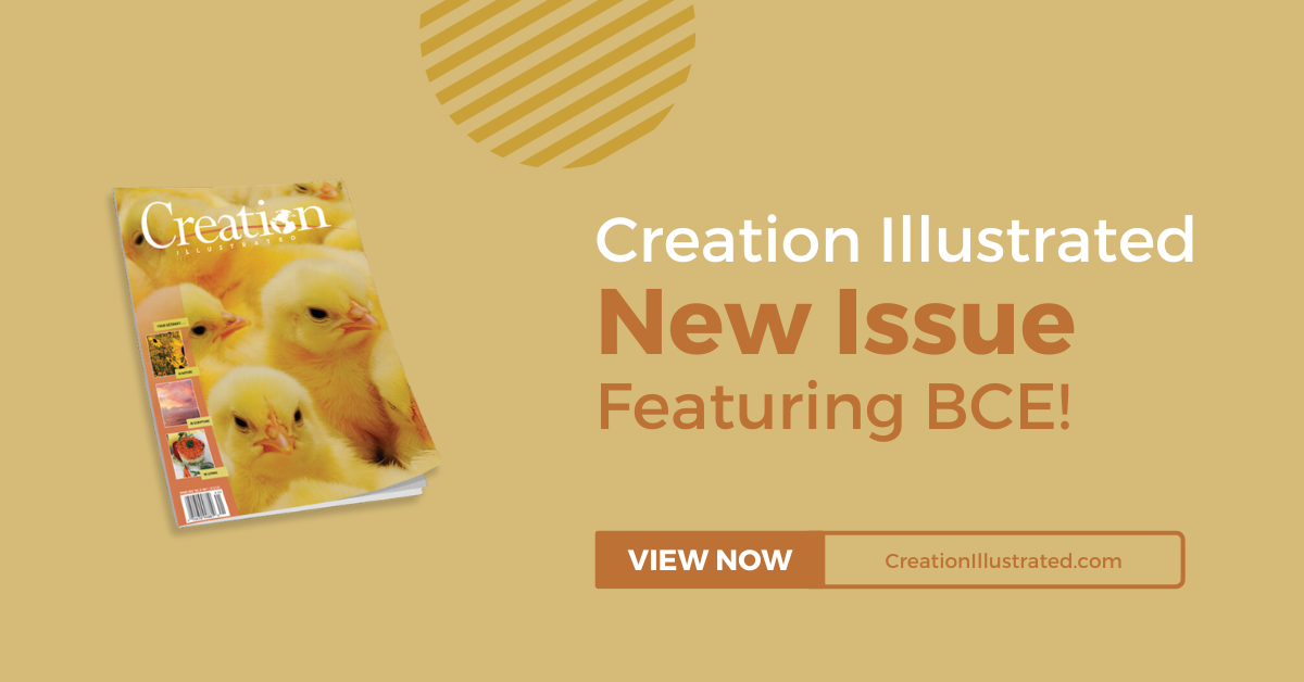 Creation Illustrated - Spring 2024