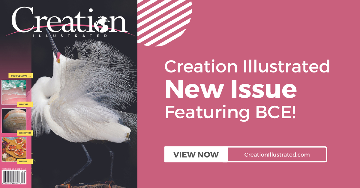 Creation Illustrated - Summer 2022 Edition