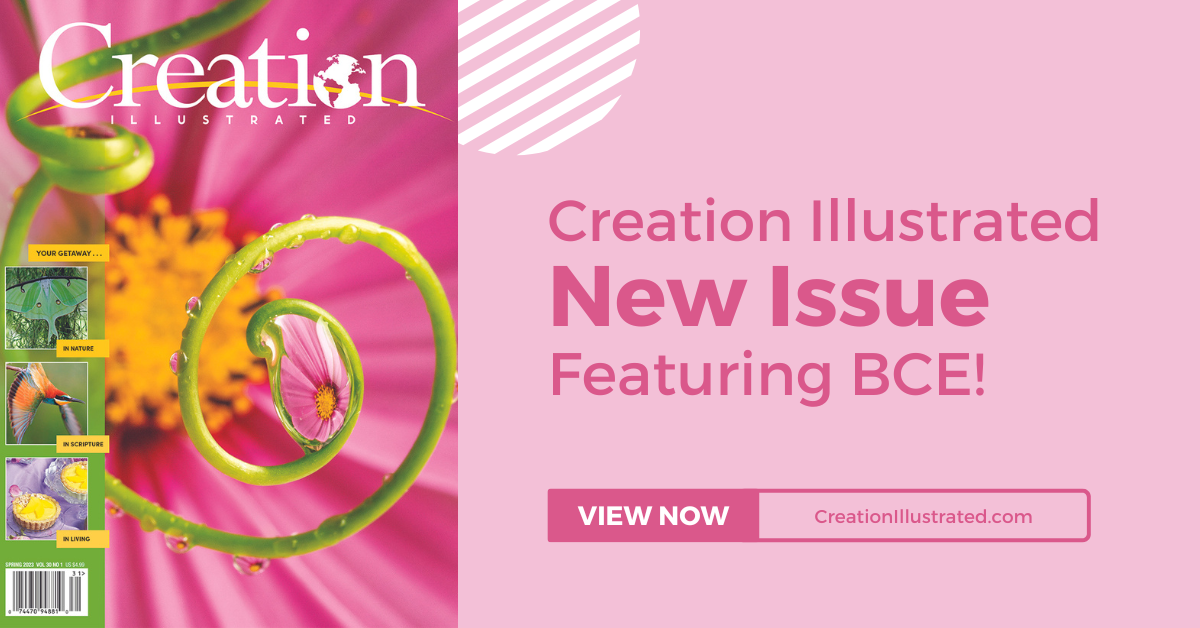 Creation Illustrated - Spring 2023